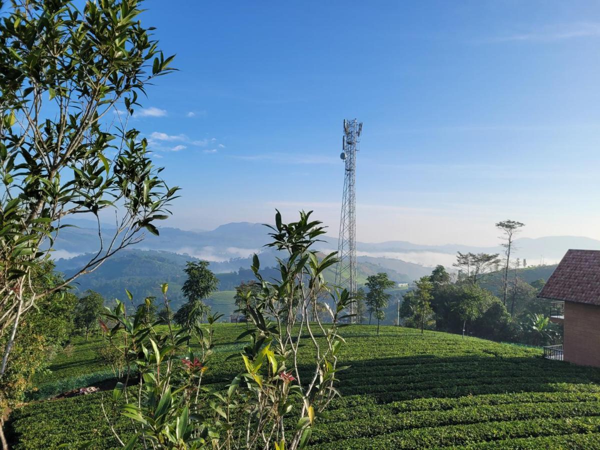 Cloud Canopy - Tea Garden Family Pool Cottage In 瓦加蒙 外观 照片