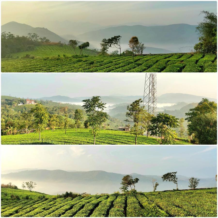 Cloud Canopy - Tea Garden Family Pool Cottage In 瓦加蒙 外观 照片