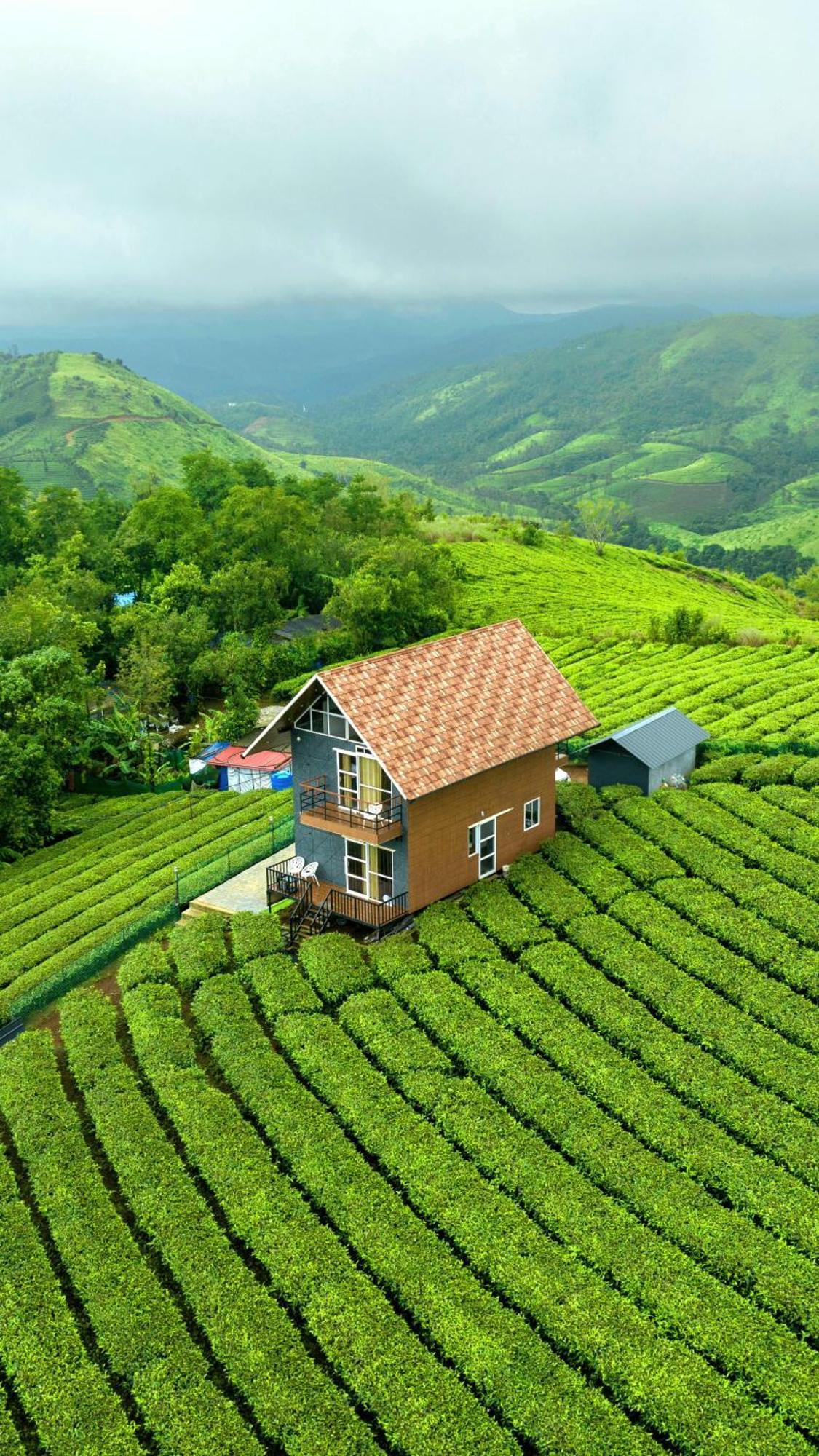 Cloud Canopy - Tea Garden Family Pool Cottage In 瓦加蒙 外观 照片