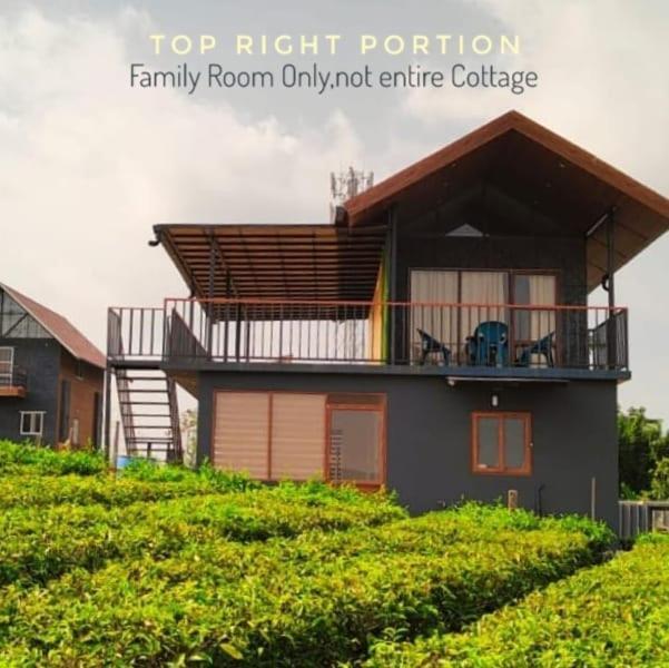 Cloud Canopy - Tea Garden Family Pool Cottage In 瓦加蒙 客房 照片